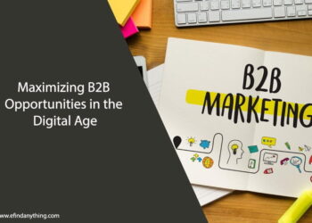 Maximizing B2B Opportunities in the Digital Age