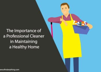 The Importance of a Professional Cleaner