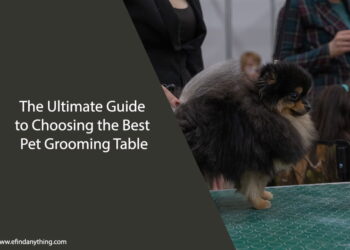 Best Pet Grooming Table