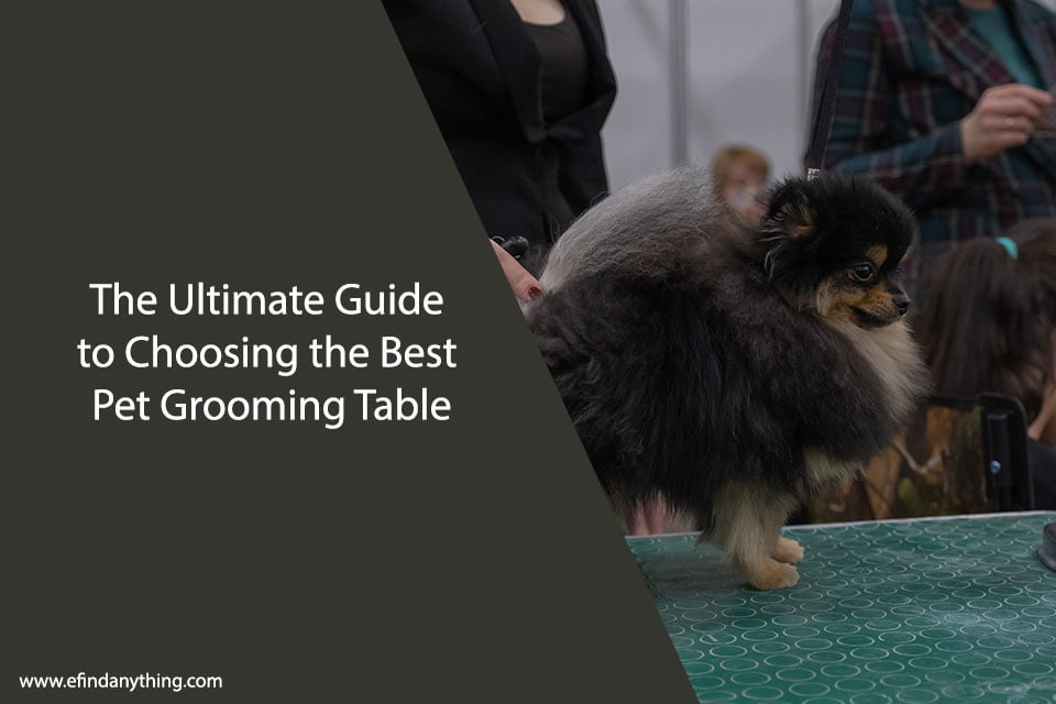 Best Pet Grooming Table