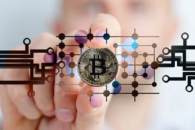 The Rise of Digital Gold: An Expert’s Guide to Bitcoin