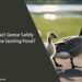 Can Adult Geese Eat Gosling Food