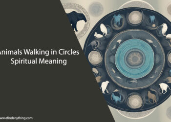 Animals Walking in Circles Spiritual Meaning