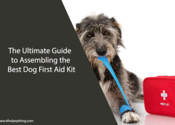 Best Dog First Aid Kit