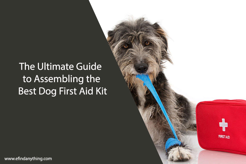 Best Dog First Aid Kit