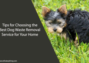 Best Dog Waste Removal Service