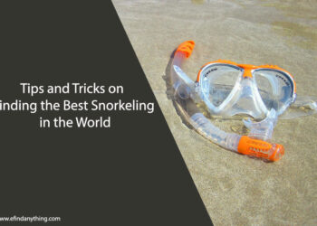 Best Snorkeling