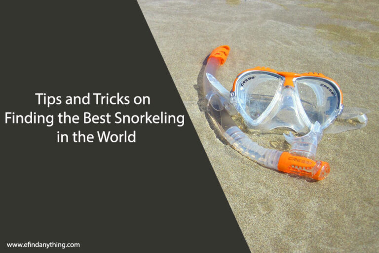 Best Snorkeling