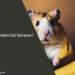 Can Hamsters Eat Bananas