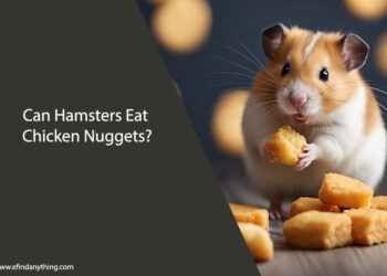 Can Hamsters Eat Chicken Nuggets
