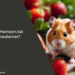 Can Hamsters Eat Strawberries