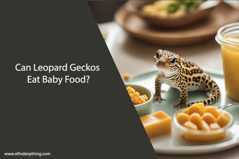 Can Leopard Geckos Eat Baby Food