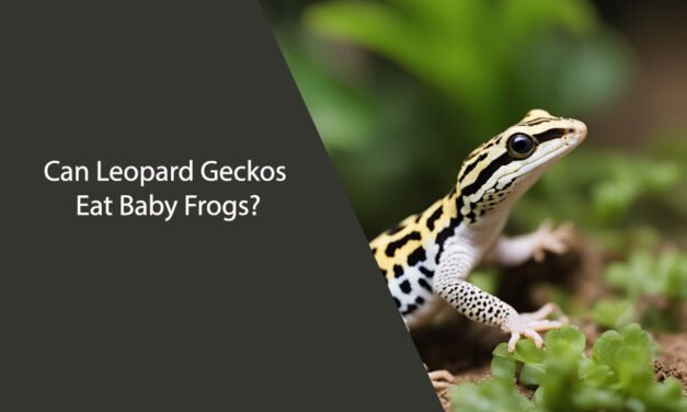 Can Leopard Geckos Eat Baby Frogs?