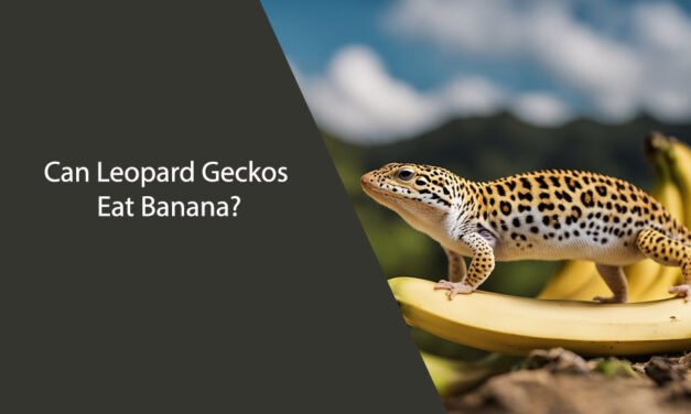 Can Leopard Geckos Eat Banana?