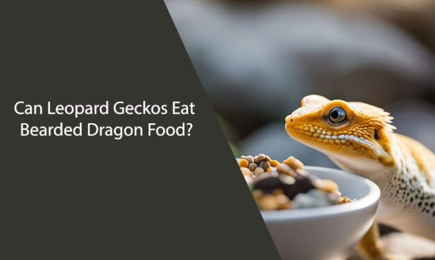 Can Leopard Geckos Eat Bearded Dragon Food?