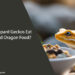 Can Leopard Geckos Eat Bearded Dragon Food