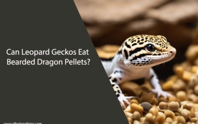 Can Leopard Geckos Eat Bearded Dragon Pellets?