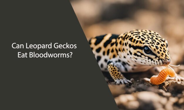 Can Leopard Geckos Eat Bloodworms?
