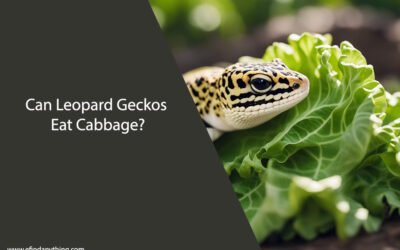 Can Leopard Geckos Eat Cabbage?