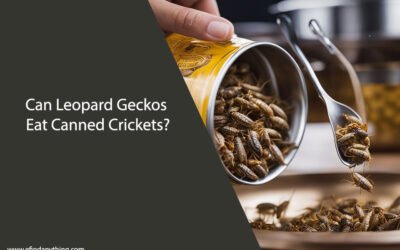 Can Leopard Geckos Eat Canned Crickets?