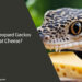 Can Leopard Geckos Eat Cheese