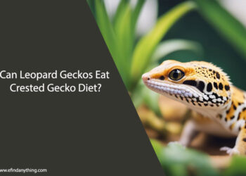 Can Leopard Geckos Eat Crested Gecko Diet