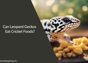 Can Leopard Geckos Eat Cricket Foods