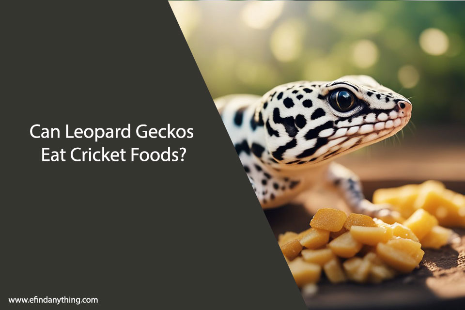 Can Leopard Geckos Eat Cricket Foods