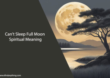Can't Sleep Full Moon Spiritual Meaning