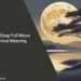 Can't Sleep Full Moon Spiritual Meaning