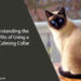 Cat Calming Collar