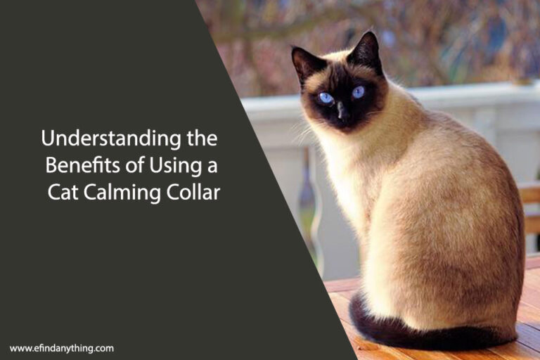 Cat Calming Collar