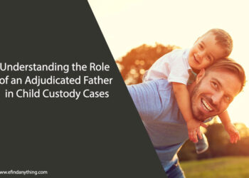 Child Custody Cases