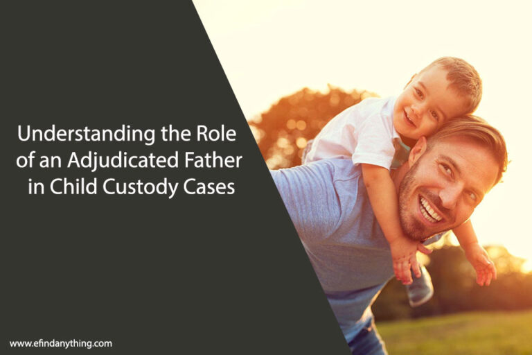 Child Custody Cases