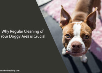 Why Regular Cleaning of Your Doggy Area is Crucial