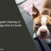 Why Regular Cleaning of Your Doggy Area is Crucial