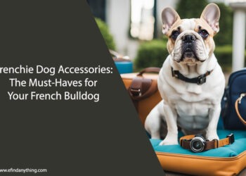 Frenchie Dog Accessories