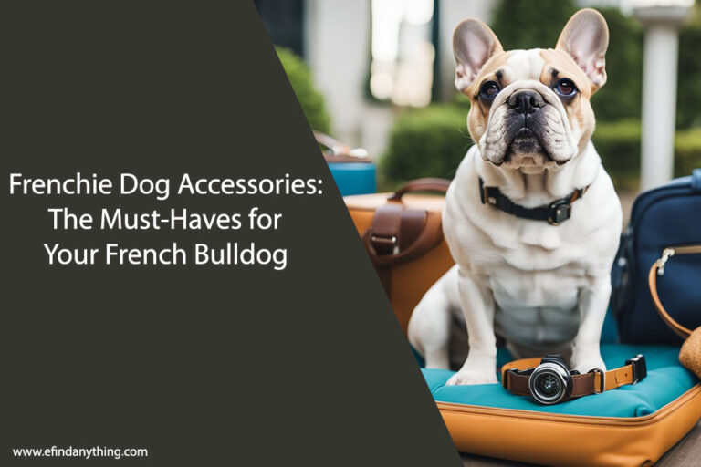 Frenchie Dog Accessories