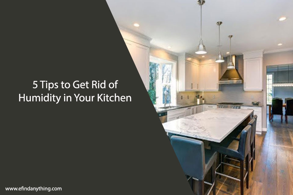 5 Tips to Get Rid of Humidity in Your Kitchen