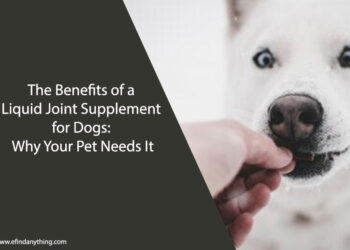 Liquid Joint Supplement for Dogs