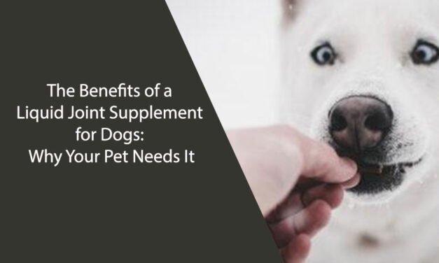 The Benefits of a Liquid Joint Supplement for Dogs: Why Your Pet Needs It