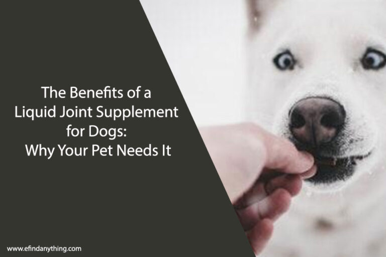 Liquid Joint Supplement for Dogs