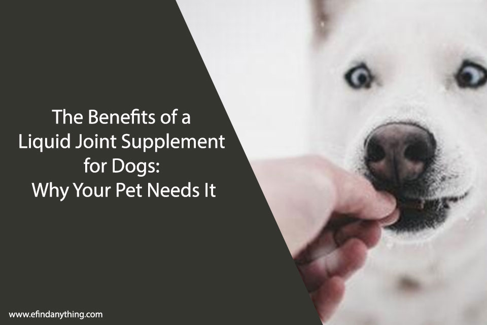 Liquid Joint Supplement for Dogs