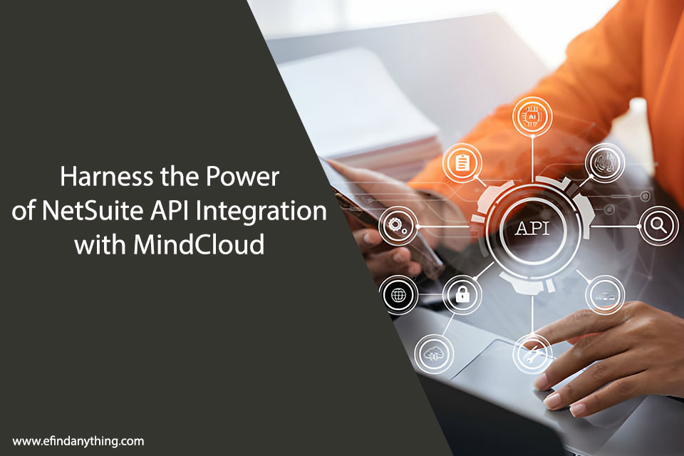 NetSuite API Integration