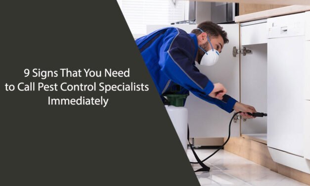 9 Signs That You Need to Call Pest Control Specialists Immediately