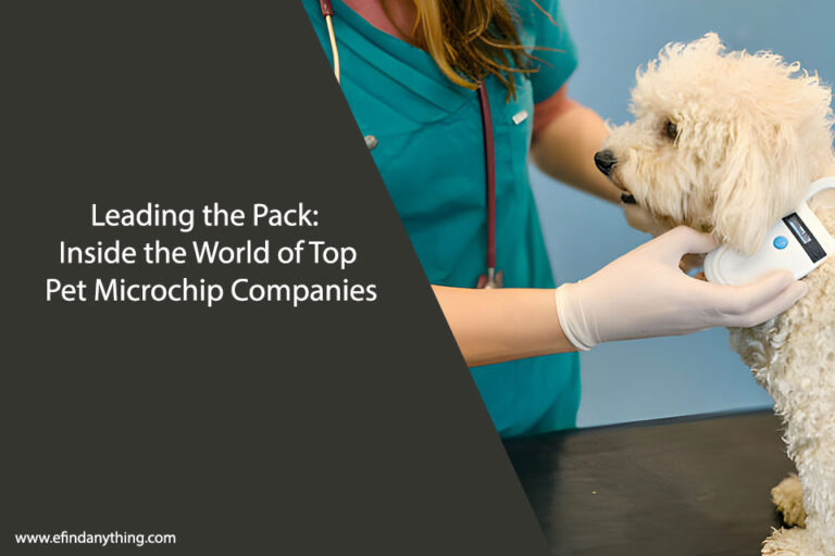 Pet Microchip Companies