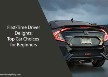 Top Car Choices for Beginners