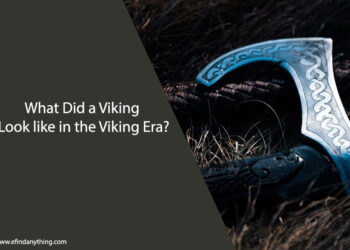 What Did a Viking Look like in the Viking Era?