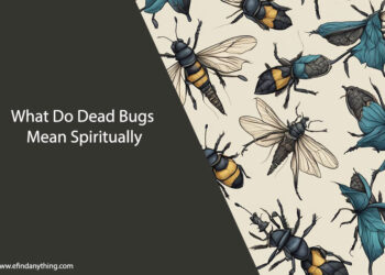 What Do Dead Bugs Mean Spiritually