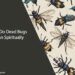 What Do Dead Bugs Mean Spiritually